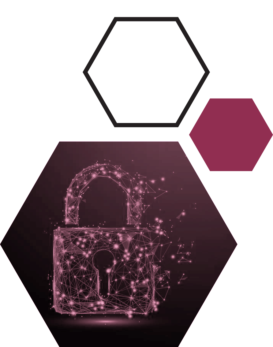 TruevolveLock